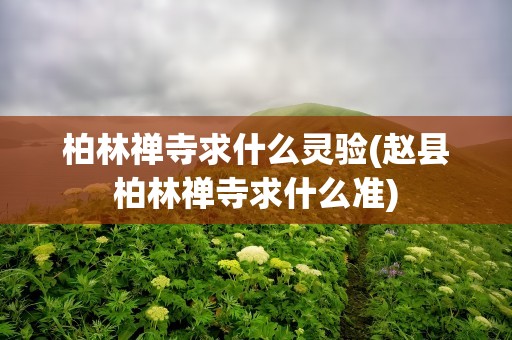 柏林禅寺求什么灵验(赵县柏林禅寺求什么准)