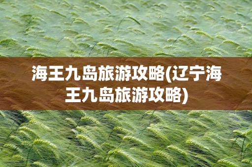 海王九岛旅游攻略(辽宁海王九岛旅游攻略)