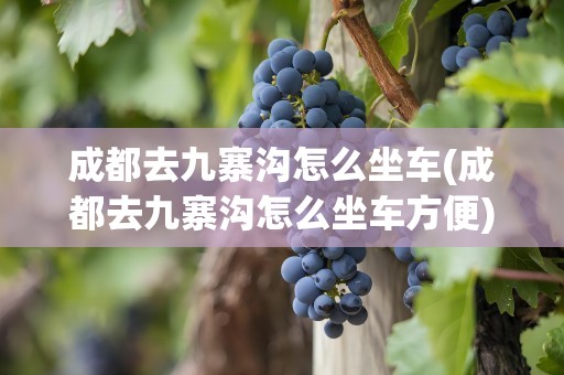 成都去九寨沟怎么坐车(成都去九寨沟怎么坐车方便)