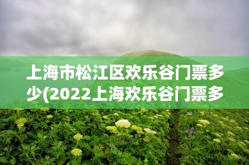 上海市松江区欢乐谷门票多少(2022上海欢乐谷门票多少钱一张附最新优惠政策)