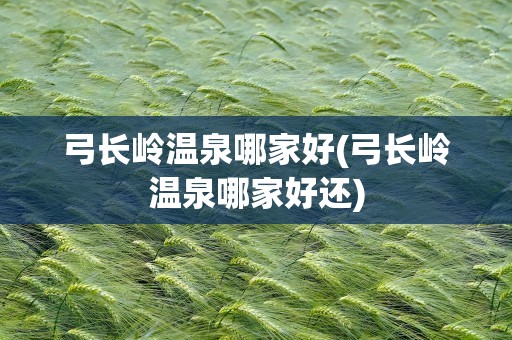 弓长岭温泉哪家好(弓长岭温泉哪家好还)