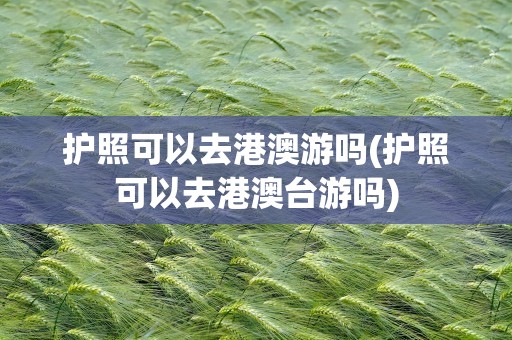 护照可以去港澳游吗(护照可以去港澳台游吗)