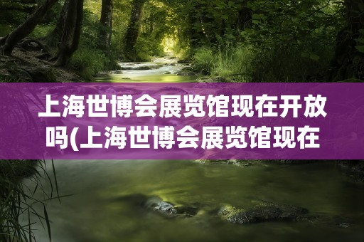 上海世博会展览馆现在开放吗(上海世博会展览馆现在开放吗最近)