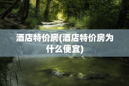酒店特价房(酒店特价房为什么便宜)