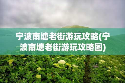 宁波南塘老街游玩攻略(宁波南塘老街游玩攻略图)