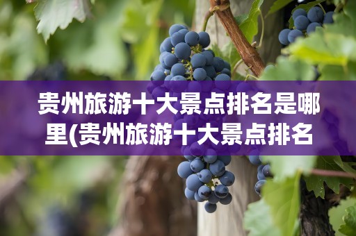 贵州旅游十大景点排名是哪里(贵州旅游十大景点排名桂林)