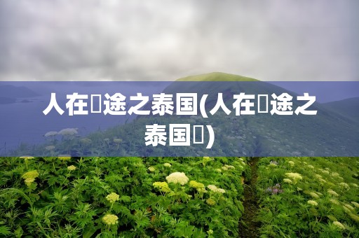 人在囧途之泰国(人在囧途之泰国囧)