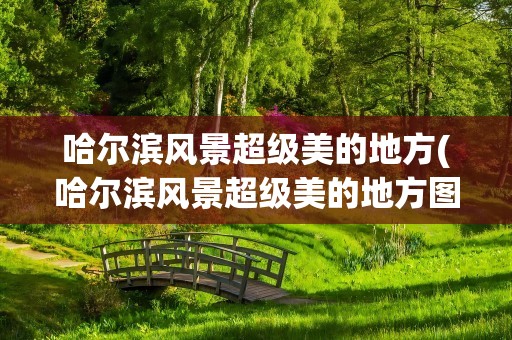 哈尔滨风景超级美的地方(哈尔滨风景超级美的地方图片)