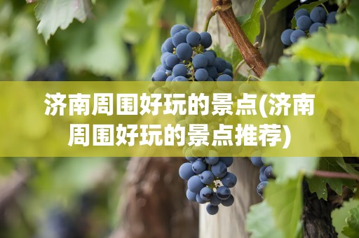 济南周围好玩的景点(济南周围好玩的景点推荐)
