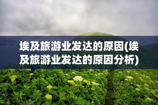 埃及旅游业发达的原因(埃及旅游业发达的原因分析)