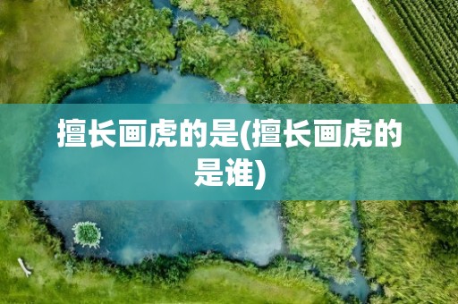 擅长画虎的是(擅长画虎的是谁)