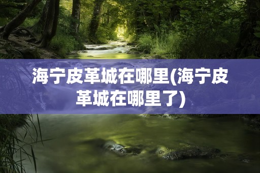 海宁皮革城在哪里(海宁皮革城在哪里了)