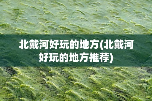 北戴河好玩的地方(北戴河好玩的地方推荐)