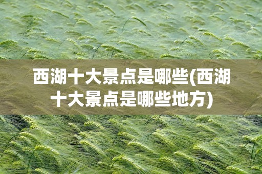 西湖十大景点是哪些(西湖十大景点是哪些地方)