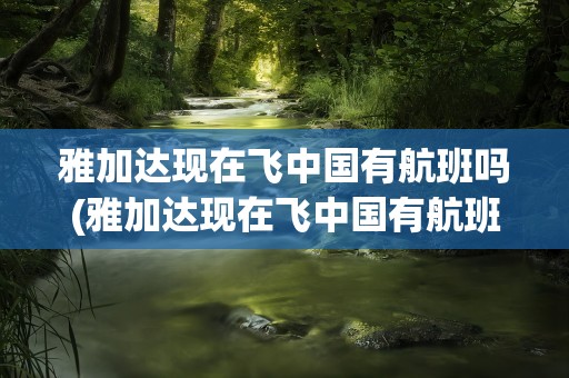 雅加达现在飞中国有航班吗(雅加达现在飞中国有航班吗多少钱)