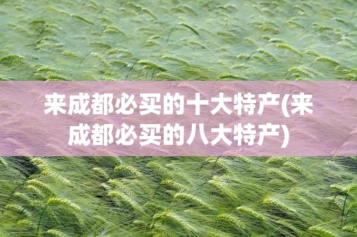 来成都必买的十大特产(来成都必买的八大特产)