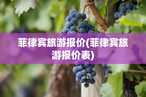 菲律宾旅游报价(菲律宾旅游报价表)