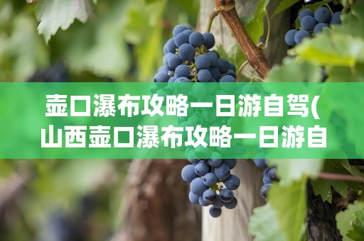 壶口瀑布攻略一日游自驾(山西壶口瀑布攻略一日游自驾)