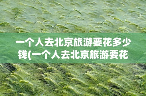 一个人去北京旅游要花多少钱(一个人去北京旅游要花多少钱呢)