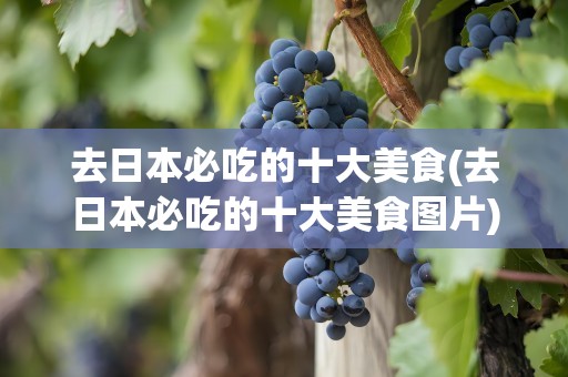 去日本必吃的十大美食(去日本必吃的十大美食图片)