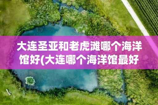 大连圣亚和老虎滩哪个海洋馆好(大连哪个海洋馆最好玩)