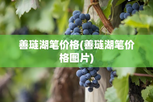 善琏湖笔价格(善琏湖笔价格图片)