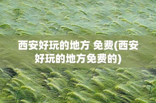 西安好玩的地方 免费(西安好玩的地方免费的)
