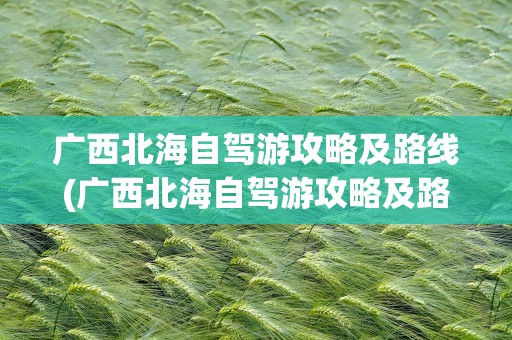 广西北海自驾游攻略及路线(广西北海自驾游攻略及路线图)