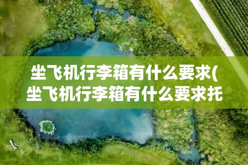 坐飞机行李箱有什么要求(坐飞机行李箱有什么要求托运)