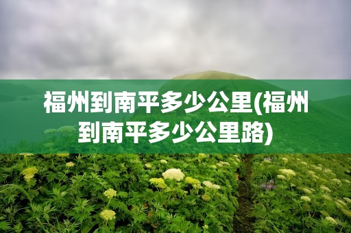 福州到南平多少公里(福州到南平多少公里路)