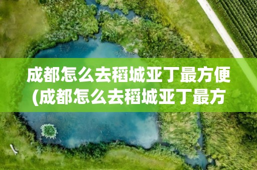 成都怎么去稻城亚丁最方便(成都怎么去稻城亚丁最方便呢)