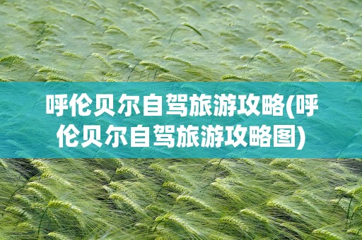 呼伦贝尔自驾旅游攻略(呼伦贝尔自驾旅游攻略图)
