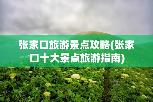 张家口旅游景点攻略(张家口十大景点旅游指南)