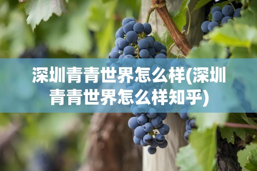 深圳青青世界怎么样(深圳青青世界怎么样知乎)