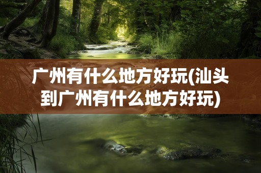 广州有什么地方好玩(汕头到广州有什么地方好玩)