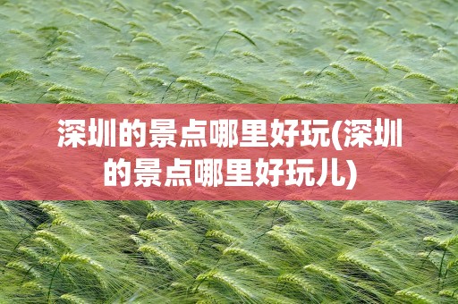 深圳的景点哪里好玩(深圳的景点哪里好玩儿)
