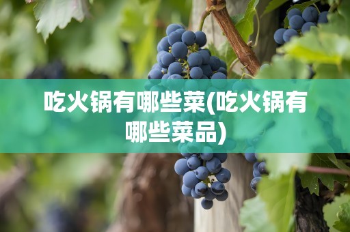 吃火锅有哪些菜(吃火锅有哪些菜品)