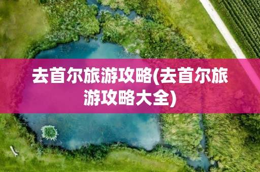去首尔旅游攻略(去首尔旅游攻略大全)