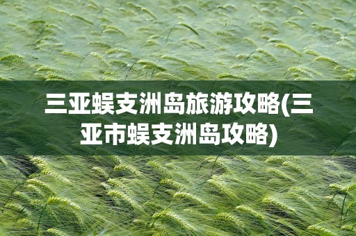 三亚蜈支洲岛旅游攻略(三亚市蜈支洲岛攻略)