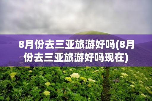8月份去三亚旅游好吗(8月份去三亚旅游好吗现在)