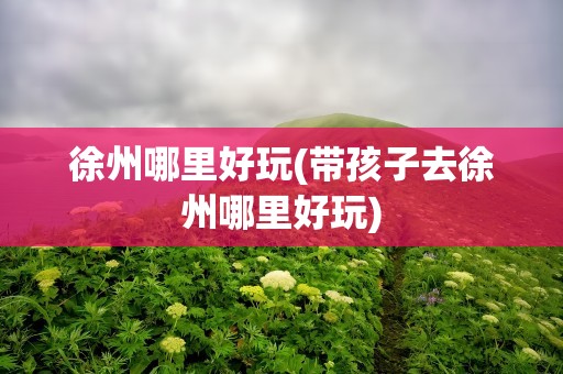 徐州哪里好玩(带孩子去徐州哪里好玩)