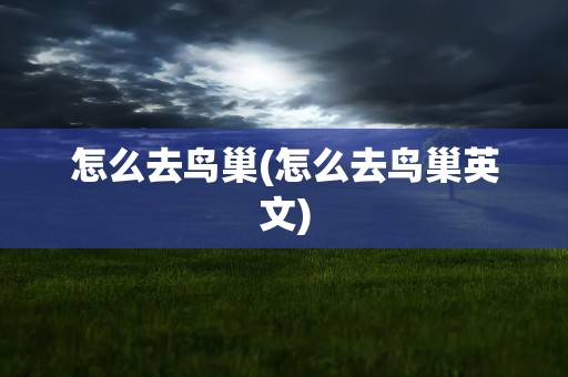 怎么去鸟巢(怎么去鸟巢英文)