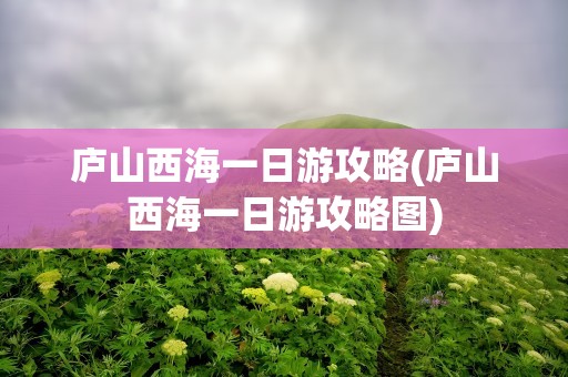 庐山西海一日游攻略(庐山西海一日游攻略图)