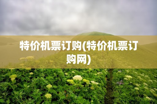 特价机票订购(特价机票订购网)