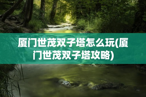 厦门世茂双子塔怎么玩(厦门世茂双子塔攻略)