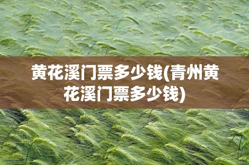 黄花溪门票多少钱(青州黄花溪门票多少钱)
