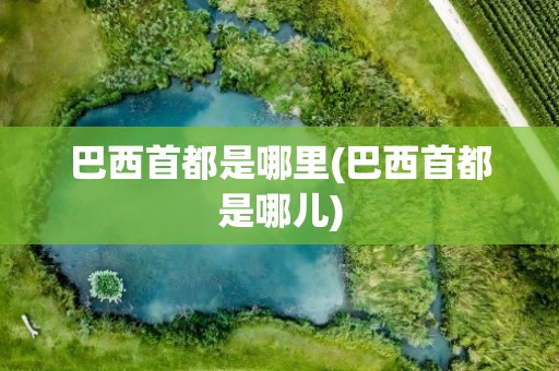 巴西首都是哪里(巴西首都是哪儿)