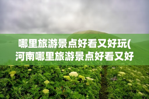 哪里旅游景点好看又好玩(河南哪里旅游景点好看又好玩)