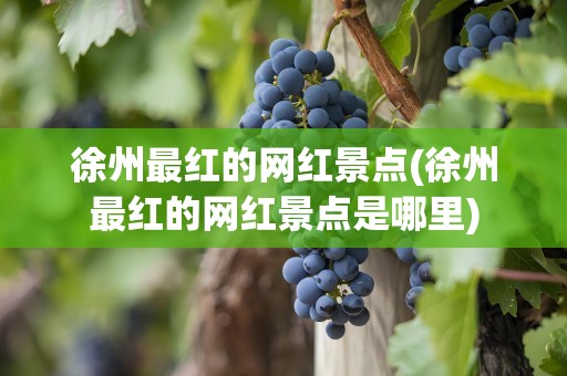 徐州最红的网红景点(徐州最红的网红景点是哪里)