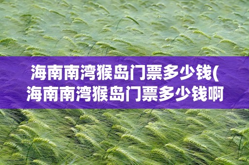 海南南湾猴岛门票多少钱(海南南湾猴岛门票多少钱啊)